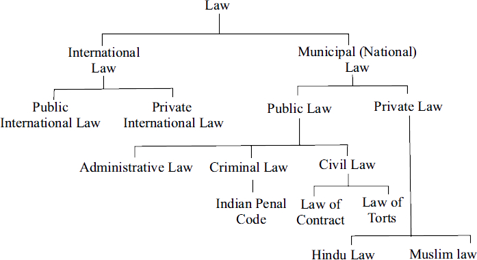 classification of law Types of laws LawMint for LLB and LLM students 1